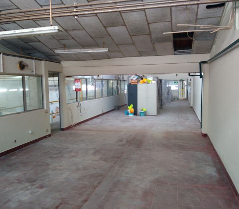 Oficinas Portucel